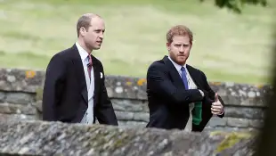 Prinz William und Prinz Harry