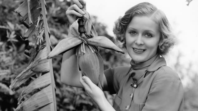 Sie War Alte Rose In Titanic So Sah Gloria Stuart Fruher Aus See more ideas about titanic, titanic history, titanic photos. sie war alte rose in titanic so