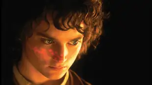 der herr ringe: die gefährten