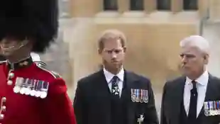 Prinz Harry und Prinz Andrew