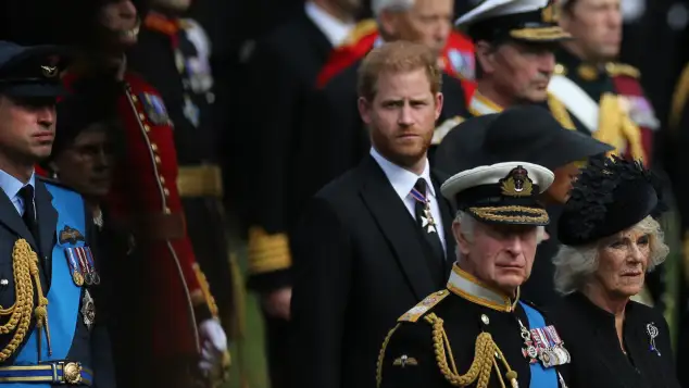 Prinz Harry und König Charles