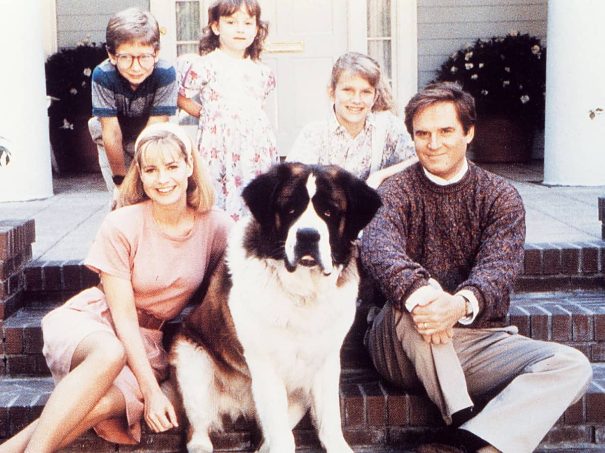 Die Beliebtesten Filme Uber Hunde