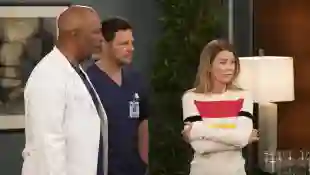„Grey's Anatomy“ „Richard“ „Alex“ und „Meredith“ staffel 15 finale