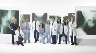 Der Cast von „Grey's Anatomy“ mit Eric Dane, Sara Ramirez, Justin Chambers, Jessica Capshaw, Chyler Leigh, Patrick Dempsey, Ellen Pompeo, James Pickens, Jr., Sandra Oh, Kevin McKidd und Chandra Wilson am 3. September 2009