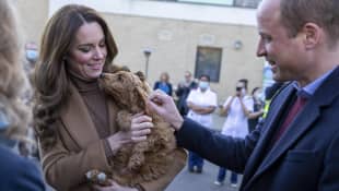 Herzogin Kate und Prinz William mit Therapiehund Alfie