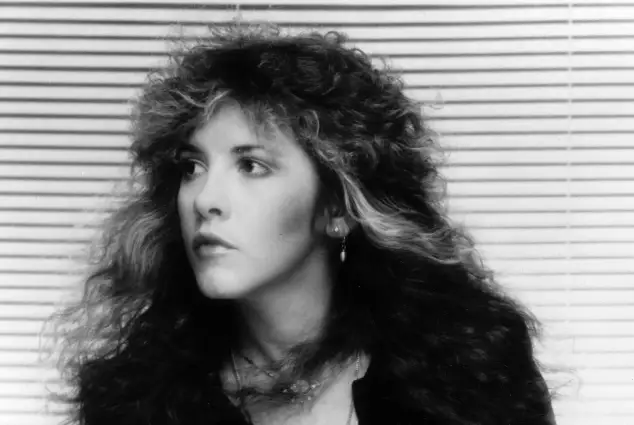 stevie nicks