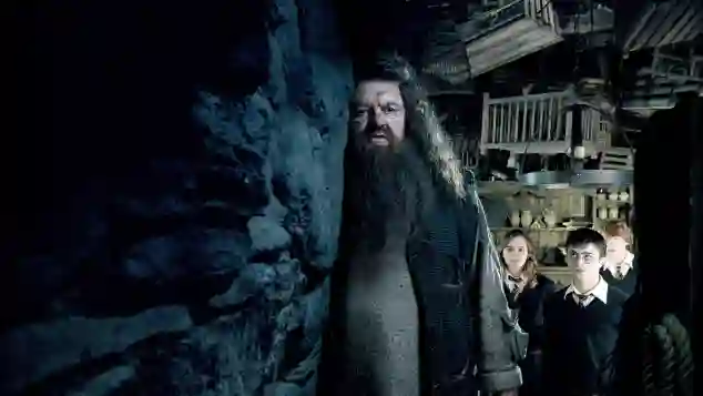 robbie coltrane hagrid