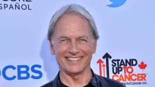 Mark Harmon