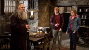 „Harry Potter und die Heiligtümer des Todes Teil 2“