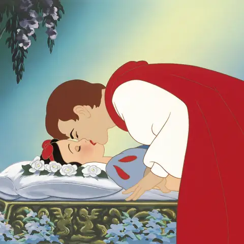 Disney-Prinzen