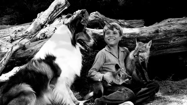 „Lassie“: Jon Provost 