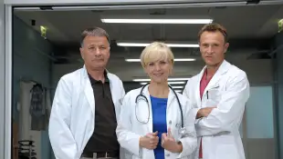 in aller freundschaft