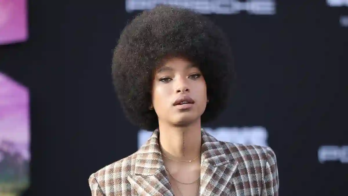 willow smith heiß sexy hüllenlos freizügig musik clip backstage look