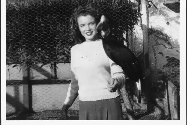 Marilyn Monroe