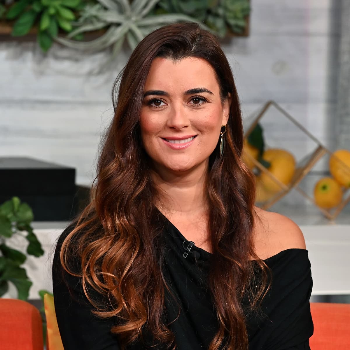 Ncis Cote De Pablo Verrat Wie Genau Sie Zum Comeback Uberzeugt Wurde Ncis star cote de pablo's has revealed how long her character will be back for, following her surprise return at the end of the 16th season.