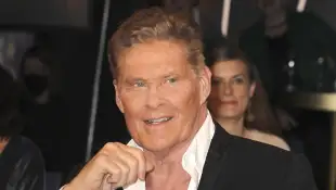 David Hasselhoff