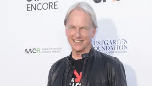 Mark Harmon NCIS