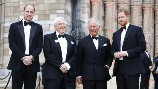 Prinz William, David Attenborough, Prinz Charles, Prinz Harry