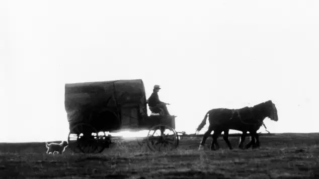 „Unsere kleine Farm“
