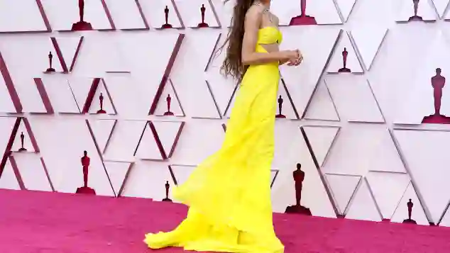 93rd Annual Academy Awards - Arrivals