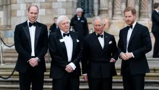 Prinz William, Sir David Attenborough, Prinz Charles, Prinz Harry