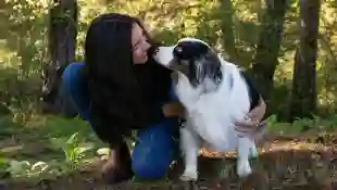 Symbolbild Hund