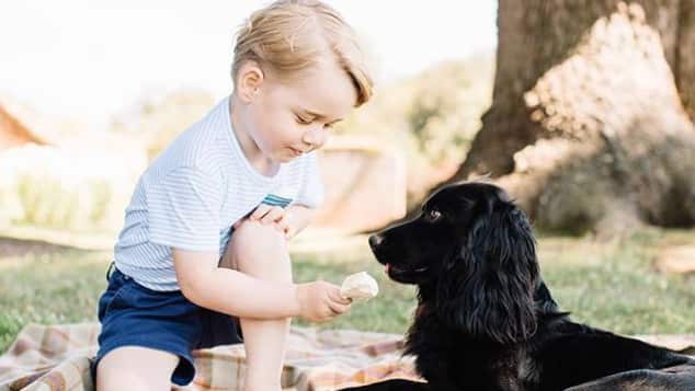Aus diesem rührenden Grund haben Kate und William Hund Lupo angeschafft