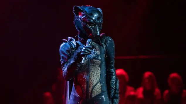 „The Masked Singer“: Der Panther
