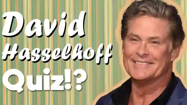 david hasselhoff quiz