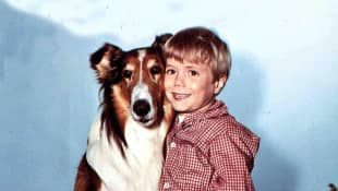 „Lassie“: Jon Provost
