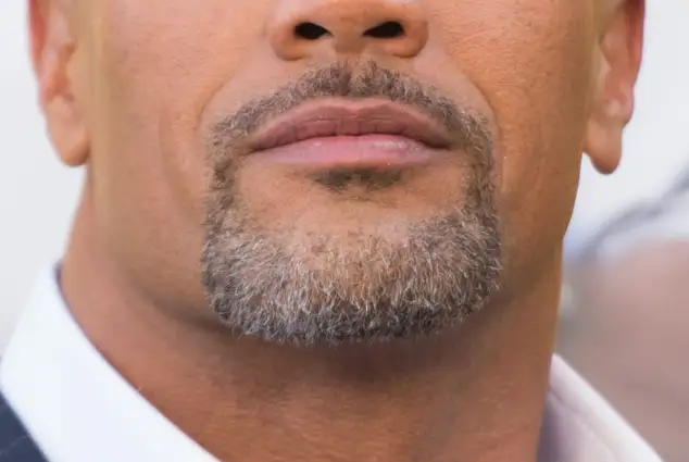 dwayne johnson