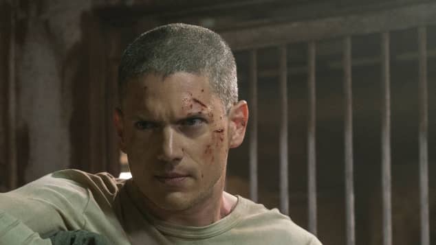 Wentworth Miller Aktuelle News Bilder Promipool De