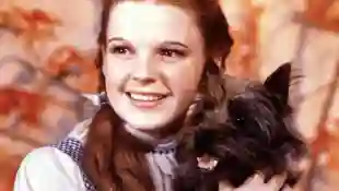 Judy Garland Dorothy Der Zauber von Oz
