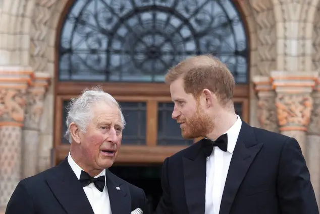 prinz harry prinz charles