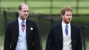 Prinz William & Harry Diana Statue