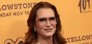 brooke shields heute schauspielerin