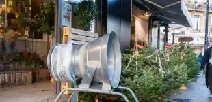 weihnachtsbaum christbaum tanne weihnachten verkauf kauf