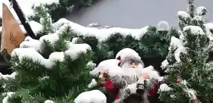weisse weihnachten chancen schnee