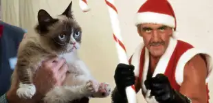 Schlechte Weihnachtsfilme, Hulk Hogan, Grumpy Cat