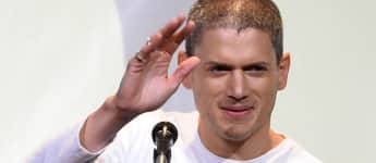 Wentworth Miller: Aktuelle News & Bilder | promipool.de