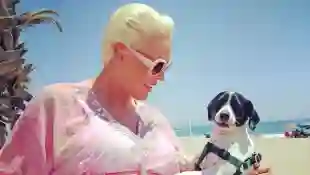 Brigitte Nielsen Hund
