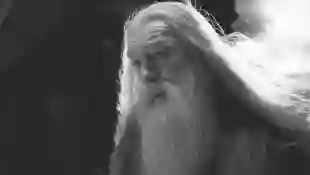 „Albus Dumbledore“ in „Harry Potter“