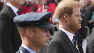 Prinz William und Prinz Harry streit
