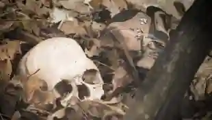 Menschlicher Schädel
