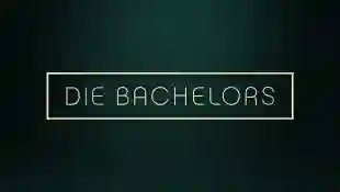 "Die Bachelors"-Logo