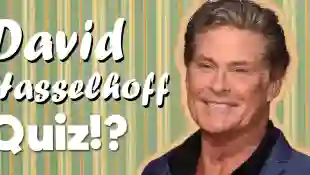 david hasselhoff quiz