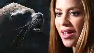 Shakira