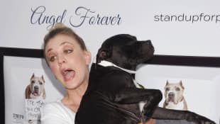 Kaley Cuoco Darum Heisst Ihr Instagram Account Norman Cook The big bang theory star does not explicitly say animal rights are the reason she stays. instagram account norman cook