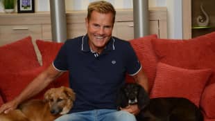 Schocknachricht: Dieter Bohlen hört bei DSDS und „Supertalent" auf