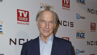 Mark Harmon Krank